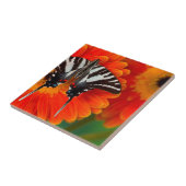 A Zebra Frack Butterfly Fliese (Seite)