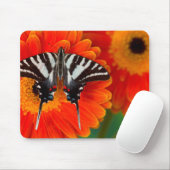 A Zebra Frack Butterfly Mousepad (Mit Mouse)