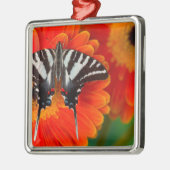 A Zebra Frack Butterfly Ornament Aus Metall (Links)