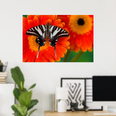 A Zebra Frack Butterfly Poster (Heimbüro)