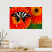 A Zebra Frack Butterfly Poster (Küche)