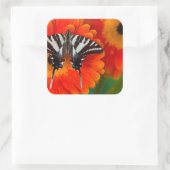 A Zebra Frack Butterfly Quadratischer Aufkleber (Tasche)