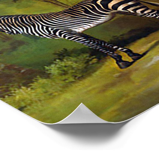 A Zebra von George Stubbs Poster (Ecke)