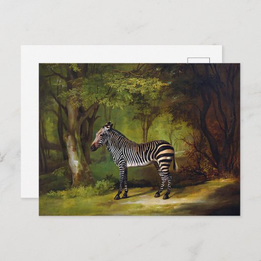A Zebra von George Stubbs Postkarte (Vorne/Hinten)