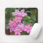 AA, rosa Clematis-Blume mousepad (Mit Mouse)