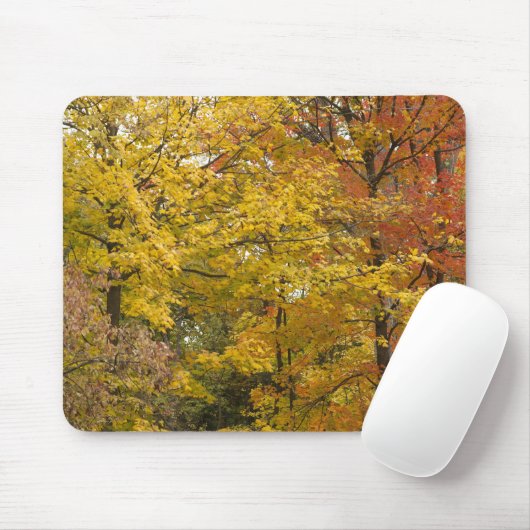 aaaa mousepad (Mit Mouse)