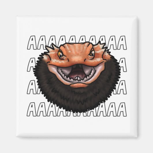 AAAAAAAAAAAAA MAGNET (Vorne)