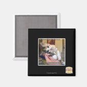 Aaaws Magnet (Vorderseite/Rückseite)