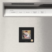 Aaaws Magnet (In Situ (Geschirrspüler))