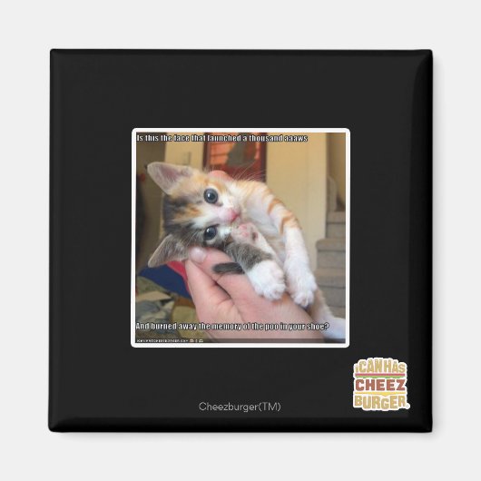 Aaaws Magnet (Vorne)