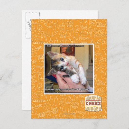 Aaaws Postkarte (Vorne/Hinten)