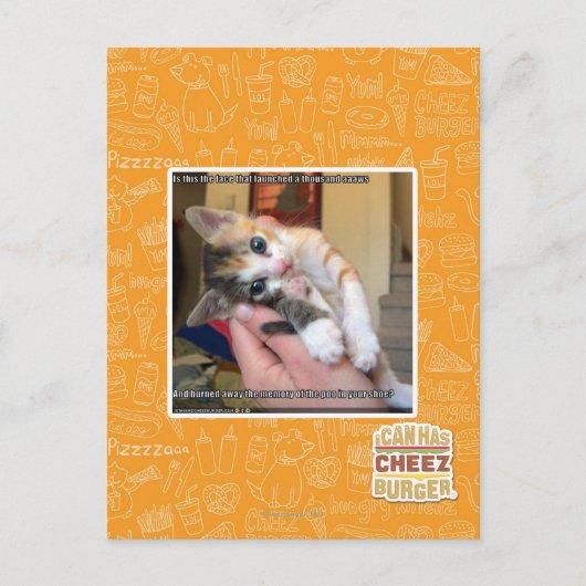 Aaaws Postkarte (Vorderseite)