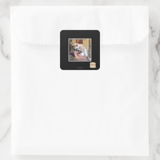 Aaaws Quadratischer Aufkleber (Tasche)