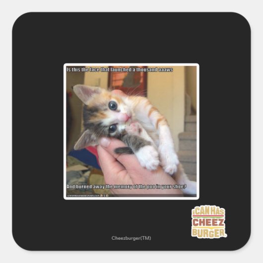 Aaaws Quadratischer Aufkleber (Vorderseite)