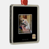 Aaaws Silbernes Ornament (Rechts)