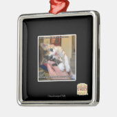 Aaaws Silbernes Ornament (Links)