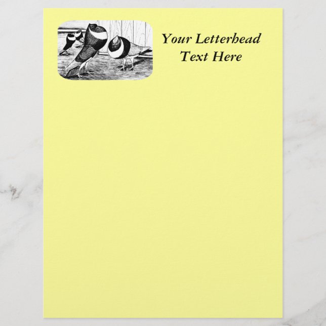 Aachen Band Cropper Tauben (Vorderseite)