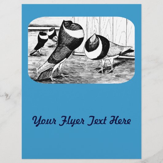 Aachen Band Cropper Tauben Flyer (Vorne)