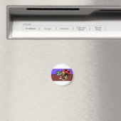 Aal-Kunst Magnet (In Situ (Geschirrspüler))