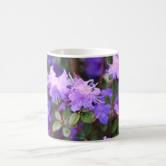 Aalea-Blütenstrauch Kaffeetasse (Mittel)
