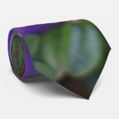 Aalea-Blütenstrauch Krawatte (Gerollt)