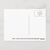 Aalea-Blütenstrauch Postkarte (Rückseite)