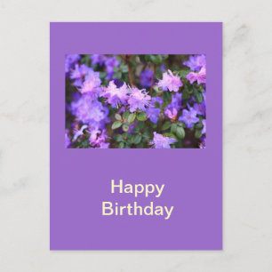 Aalea-Blütenstrauch Postkarte