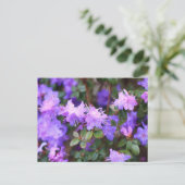 Aalea-Blütenstrauch Postkarte (Stehend Vorderseite)