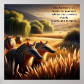 Aardvark Harmonie in der Natur Poster (Vorne)