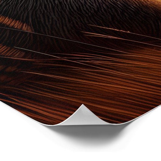 Aardvark in Sunlit Field Poster (Ecke)