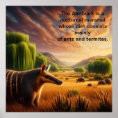 Aardvark in Sunlit Field Poster (Vorne)