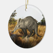 Aardvark Keramik Ornament (Links)