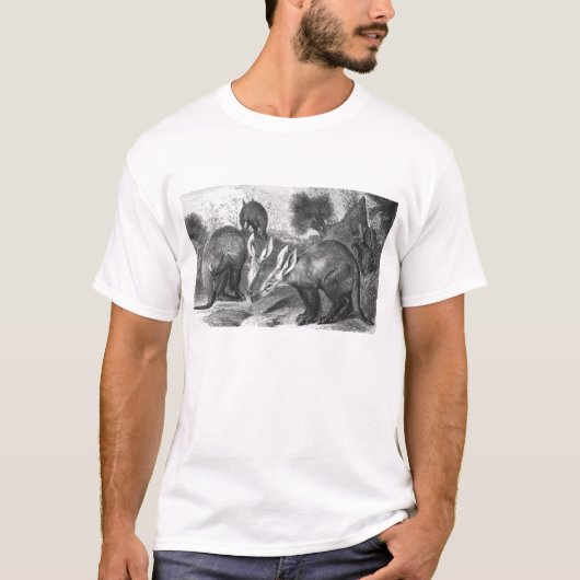 Aardvark - Orycteropus afro T-Shirt (Vorderseite)