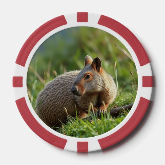 Aardvark Pokerchips (Vorderseite)