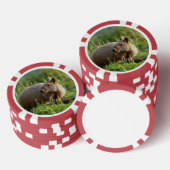 Aardvark Pokerchips (Stapel)