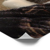 Aardvark Poster (Ecke)