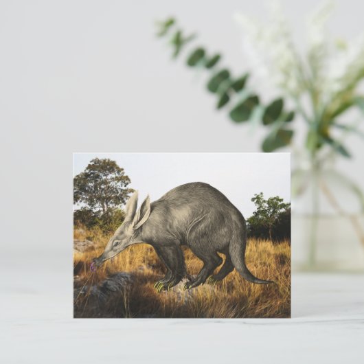 Aardvark Postkarte (Stehend Vorderseite)