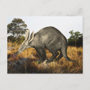 Aardvark Postkarte