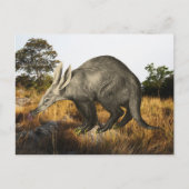Aardvark Postkarte (Vorderseite)
