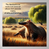 Aardvark Tranquil Harmonie: Wildlife Duo in Meadow Poster (Vorne)
