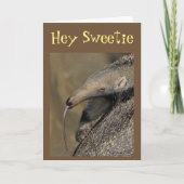 AARDVARK WIRD "LIEBE DU FRÜHER" KISST MICH! KARTE (Vorderseite)