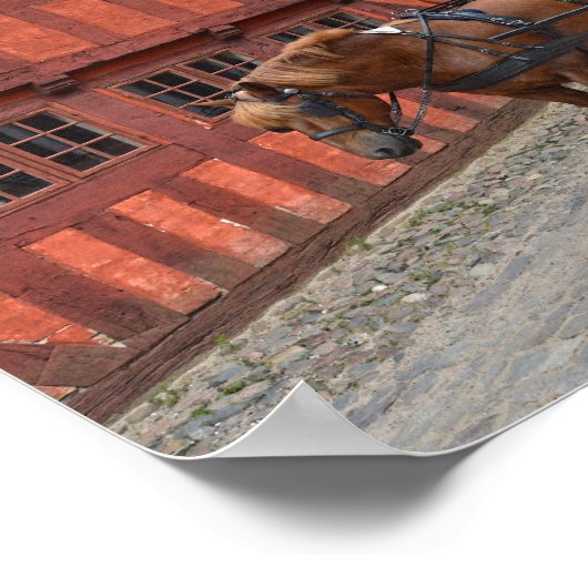 Aarhus, Dänemark, Pferde und Buggy Poster (Ecke)