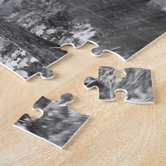 Aaron Rodgers Mountainbiken auf der Treppe zum Puzzle (Seite)