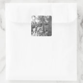 Aaron Rodgers Mountainbiken auf der Treppe zum Quadratischer Aufkleber (Tasche)