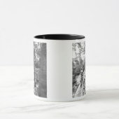 Aaron Rodgers Mountainbiken auf der Treppe zum Tasse (Zentrum)