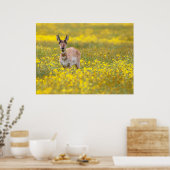 Aarzo-Ebenen vorbei Poster (Küche)