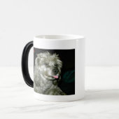 AAStamp1, Regeln John Does Roescher Verwandlungstasse (Vorderseite Links)