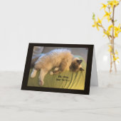 Ab jetzt wird der Koffein in jeder Minute auf Kart Karte (Gelbe Blume)