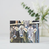 Ab Kühen Postkarte (Stehend Vorderseite)