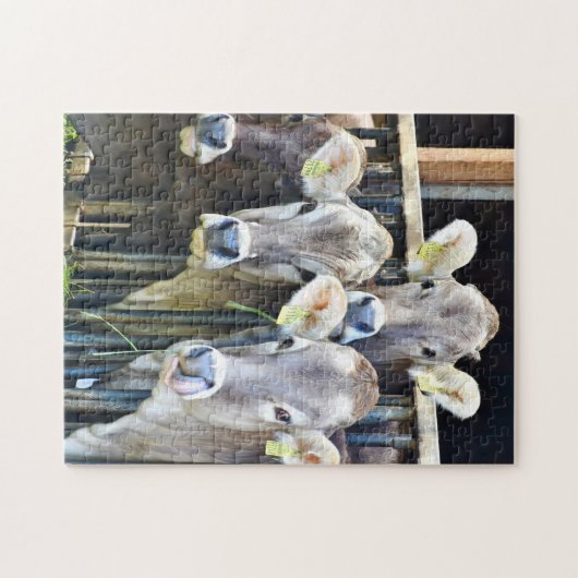 Ab Kühen Puzzle (Horizontal)
